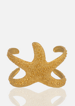 Resmi Galeri görüntüleyicisine yükleyin, BR00204