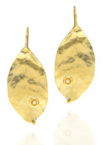 Resmi Galeri görüntüleyicisine yükleyin, ER00084