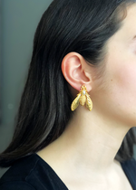 Resmi Galeri görüntüleyicisine yükleyin, ER00204