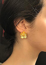 Resmi Galeri görüntüleyicisine yükleyin, ER00225