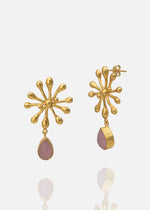 Resmi Galeri görüntüleyicisine yükleyin, ER00316