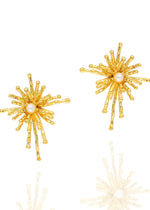 Resmi Galeri görüntüleyicisine yükleyin, ER00337