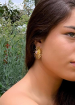 Resmi Galeri görüntüleyicisine yükleyin, ER00344