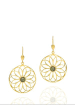 Resmi Galeri görüntüleyicisine yükleyin, ER00244