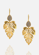 Resmi Galeri görüntüleyicisine yükleyin, ER00121