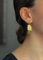 Resmi Galeri görüntüleyicisine yükleyin, ER00176