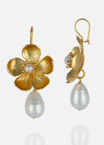 Resmi Galeri görüntüleyicisine yükleyin, ER00206