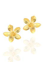 Resmi Galeri görüntüleyicisine yükleyin, ER00223