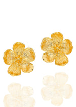 Resmi Galeri görüntüleyicisine yükleyin, ER00225