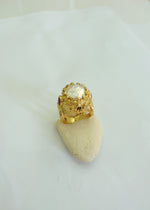 Resmi Galeri görüntüleyicisine yükleyin, RG00152