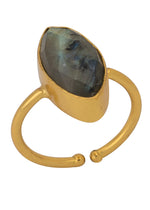 Resmi Galeri görüntüleyicisine yükleyin, RG00176