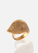 Resmi Galeri görüntüleyicisine yükleyin, RG00255