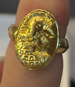 Resmi Galeri görüntüleyicisine yükleyin, RG00393
